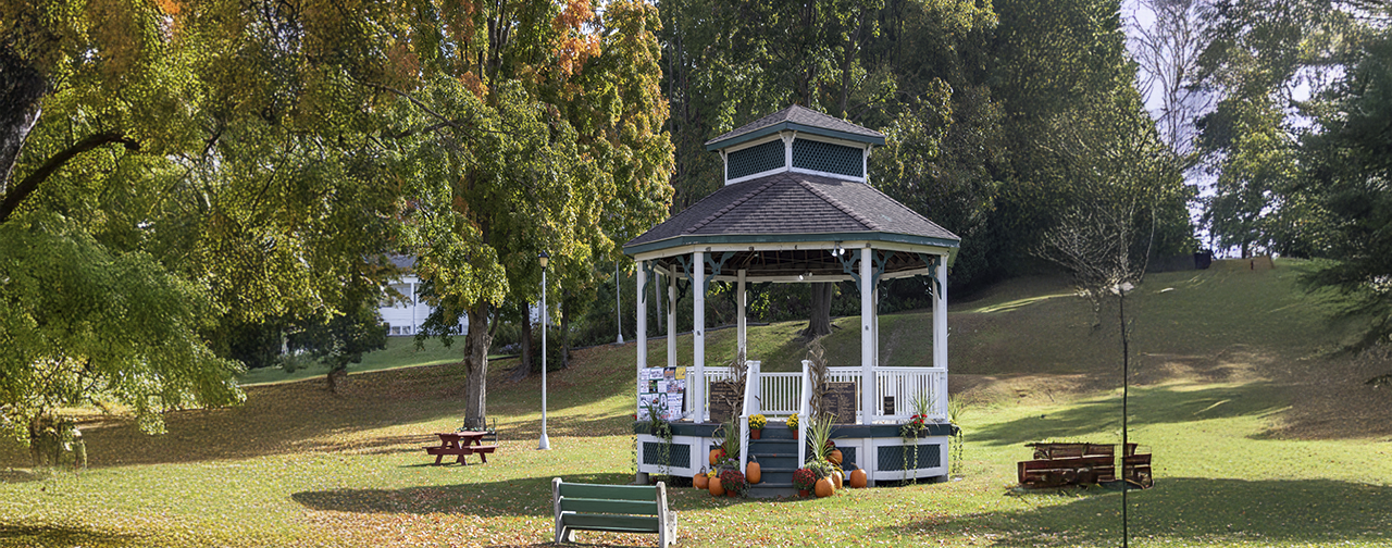 About the Hoosick Area CPWG About the Hoosick Area CPWG